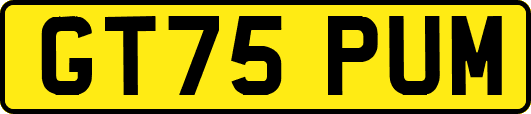 GT75PUM