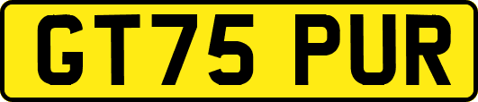 GT75PUR