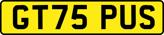 GT75PUS