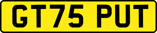 GT75PUT