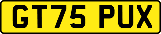 GT75PUX