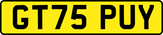 GT75PUY