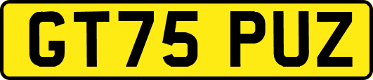 GT75PUZ