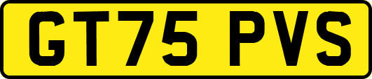 GT75PVS