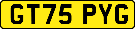 GT75PYG