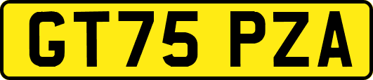 GT75PZA