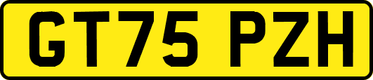 GT75PZH