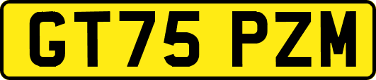 GT75PZM