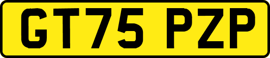 GT75PZP