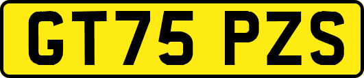 GT75PZS
