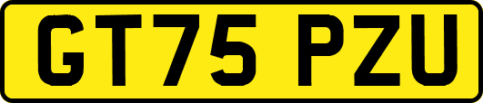 GT75PZU