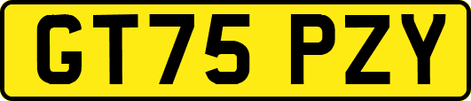 GT75PZY
