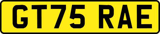 GT75RAE
