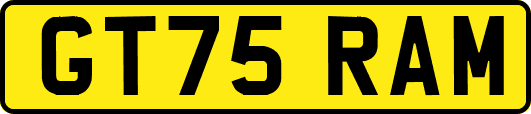 GT75RAM