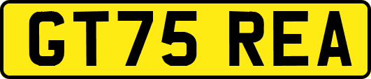 GT75REA