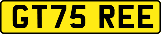 GT75REE