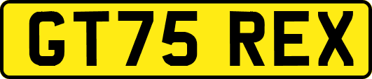 GT75REX