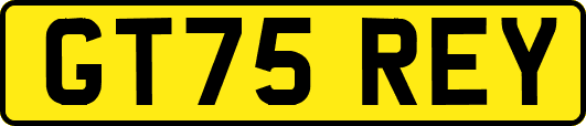 GT75REY