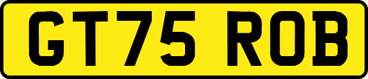 GT75ROB