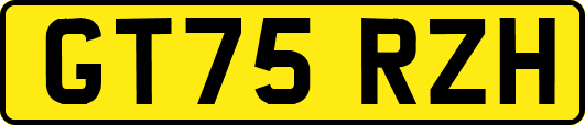 GT75RZH