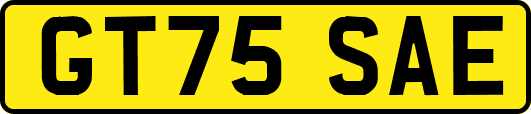 GT75SAE