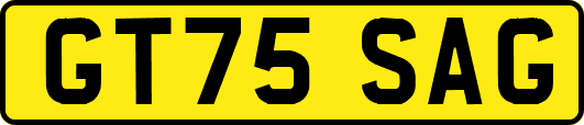GT75SAG