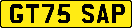 GT75SAP