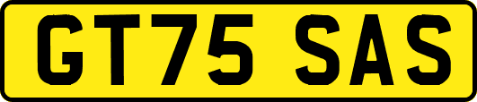 GT75SAS