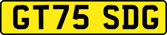 GT75SDG
