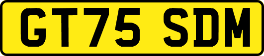 GT75SDM