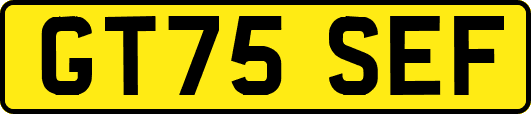 GT75SEF