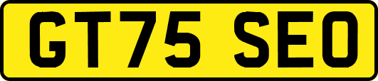 GT75SEO