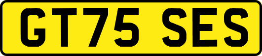 GT75SES