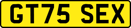 GT75SEX