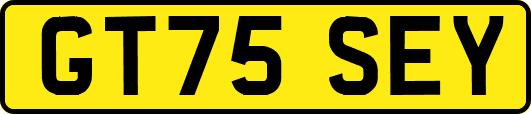GT75SEY