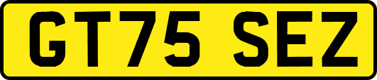 GT75SEZ