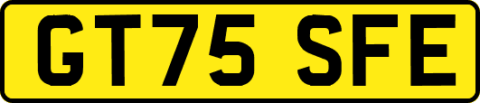 GT75SFE