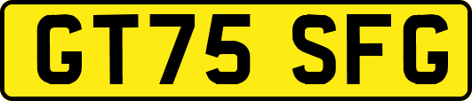 GT75SFG
