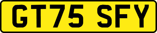 GT75SFY