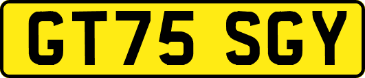 GT75SGY