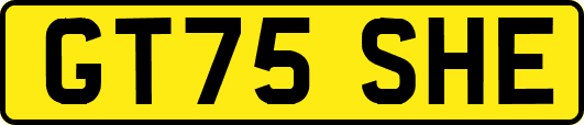 GT75SHE