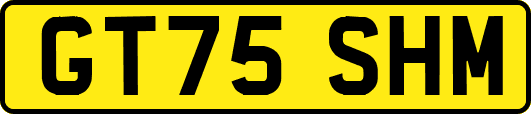 GT75SHM