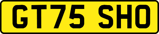 GT75SHO