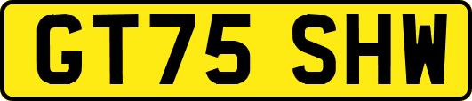 GT75SHW