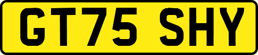 GT75SHY
