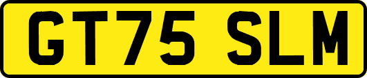 GT75SLM
