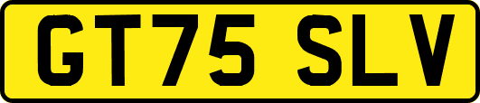GT75SLV
