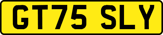 GT75SLY