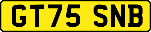 GT75SNB