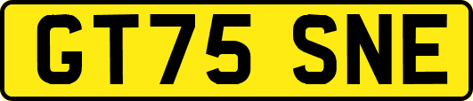 GT75SNE